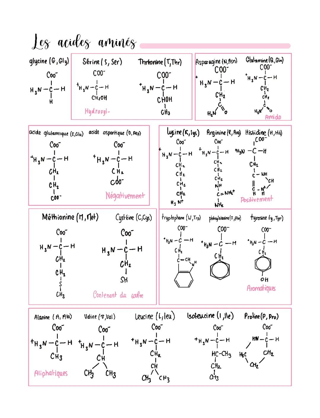 Amino Acids for Kids: Cool Charts & Simple Lists