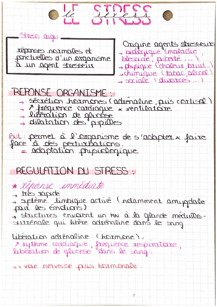 Know Les différents types de stress  thumbnail