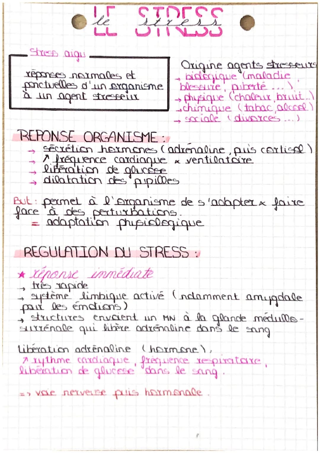 Les différents types de stress 