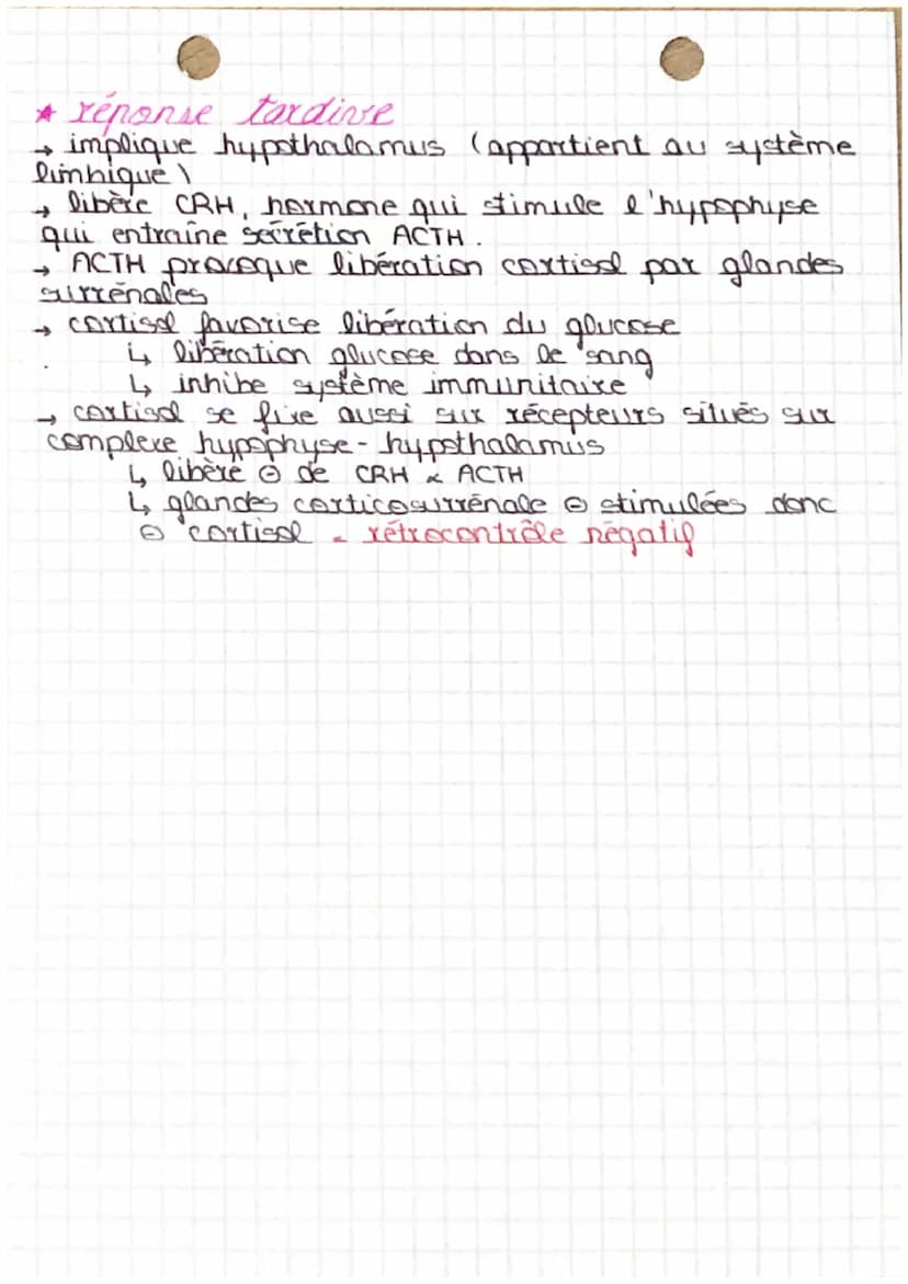 Stress aigu
LF SIDESS
stress
le
LL
reponses normales et
ponctuelles d'un organisme
à un agent stresseir
REPONSE ORGANISME:
->
-
->
->
Origin