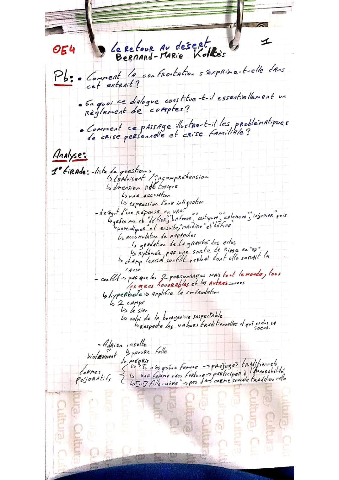 Commentaire Le Retour au Désert - Dispute Mathilde et Adrien, Résumé Chapitre, Analyse Linéaire