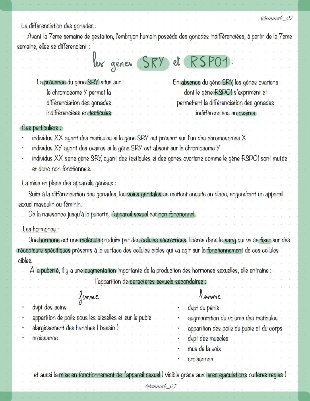 Schémas de l'appareil génital féminin et masculin :
ovaire (x2)
ovi ducte (x2)
Puterur
ressie
mètre
le ditoris
orifice
urinaire
petitor et
g