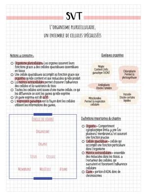 Know L’organisme pluricellulaire, un ensemble de cellules spécialisées  thumbnail