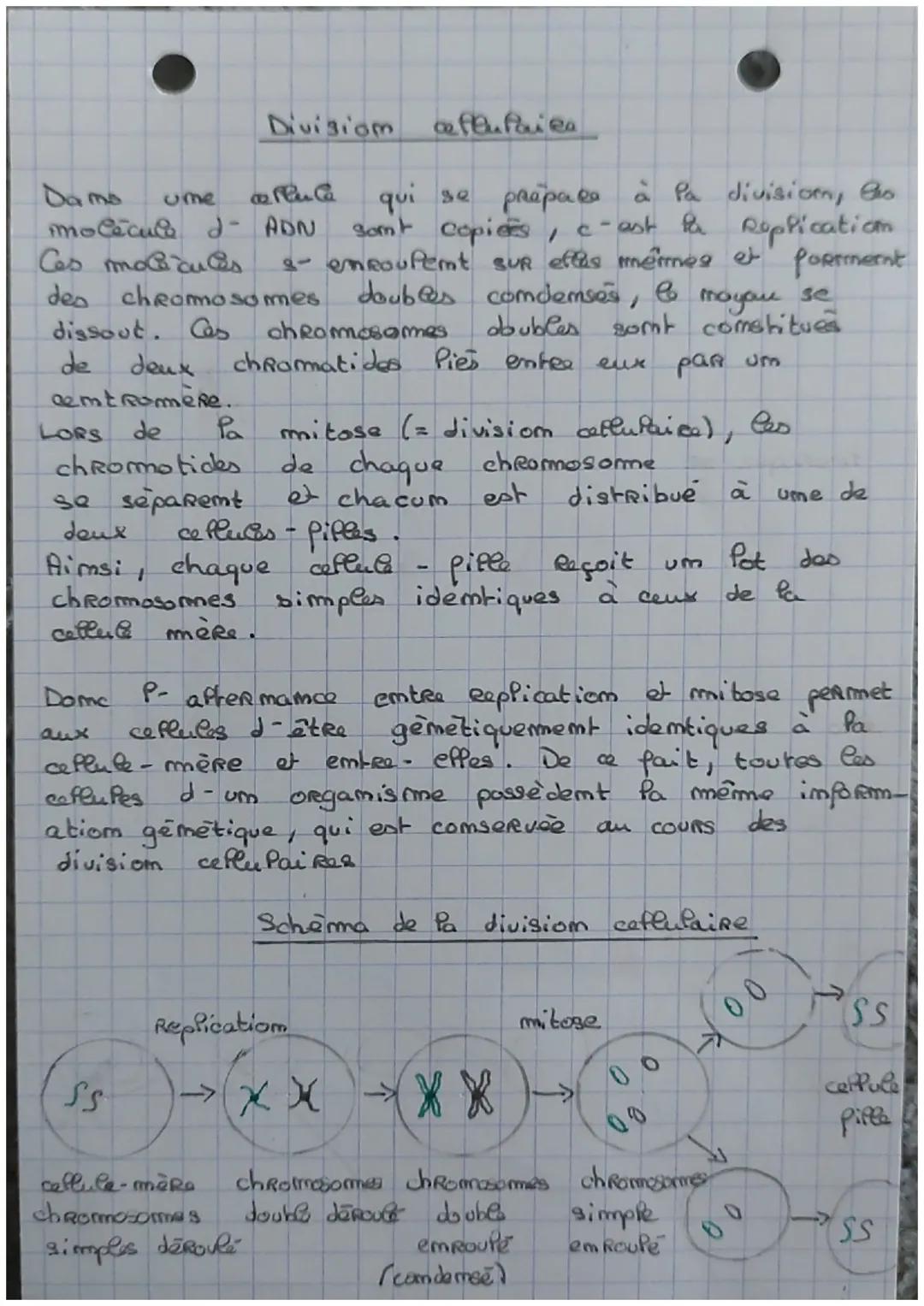 information gendalique
Дер
que
caractère est um trait distinctip et observabla
espèce
individu )
présente
ume population ou umne
Heredita es