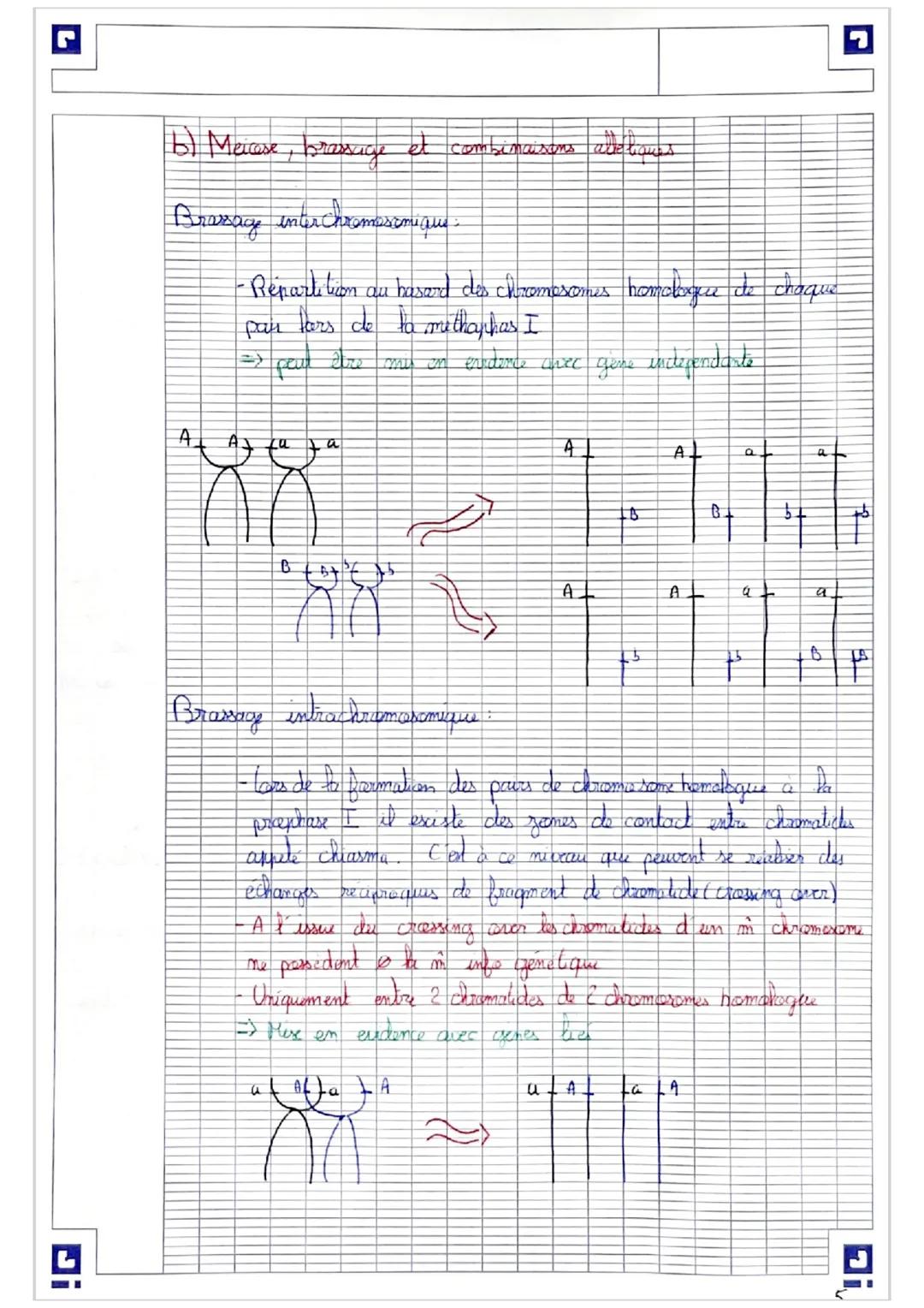 Acident's génétiques meiose participent à la discsification
gename
du
Gessing
cover
A
B
imegal.
.a
b
=> 2 chromosomes homologues qui sont ap