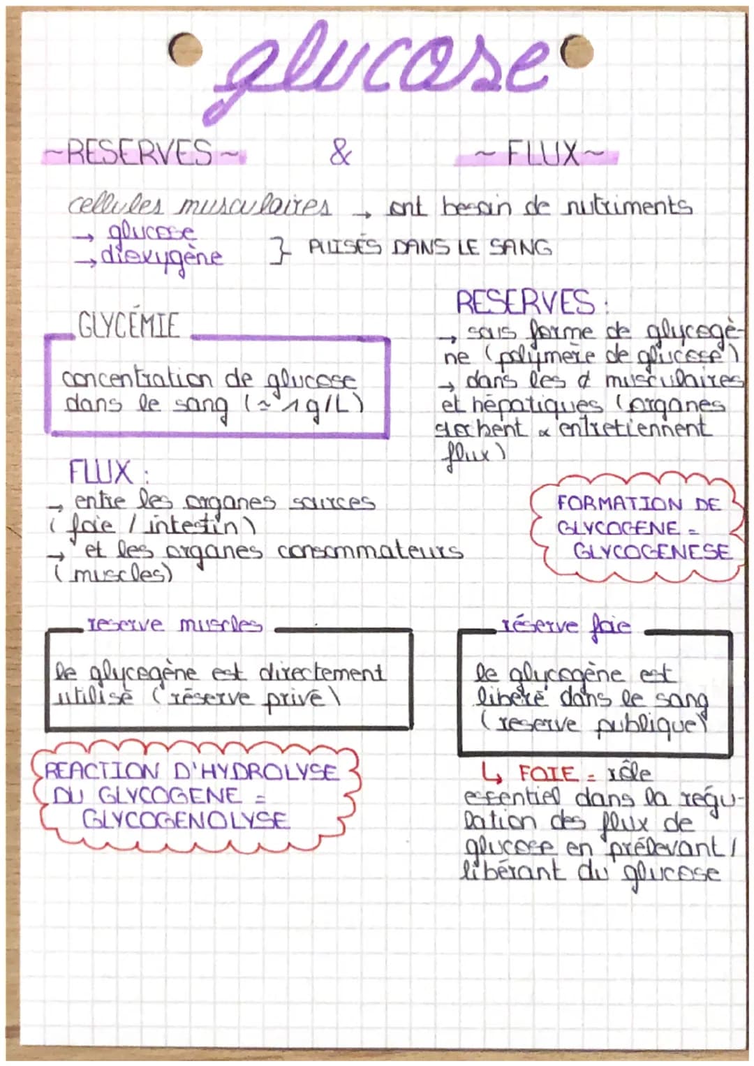 -RESERVES
->
glucose
&
~FLUX~
cellules musculaires ont besoin de nutriments
glucose
->
diexygène 7 PULISÉS DANS LE SANG
GLYCEMIE
concentrati