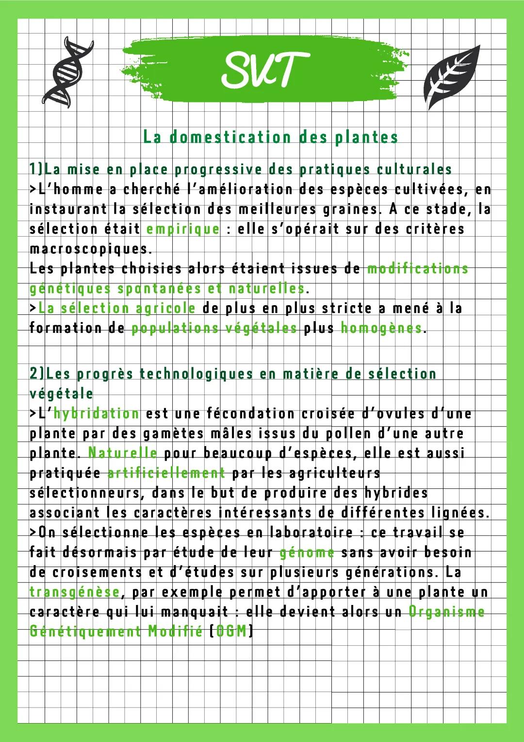 Domestication des Plantes SVT Terminale: Définition, Étapes et Conséquences