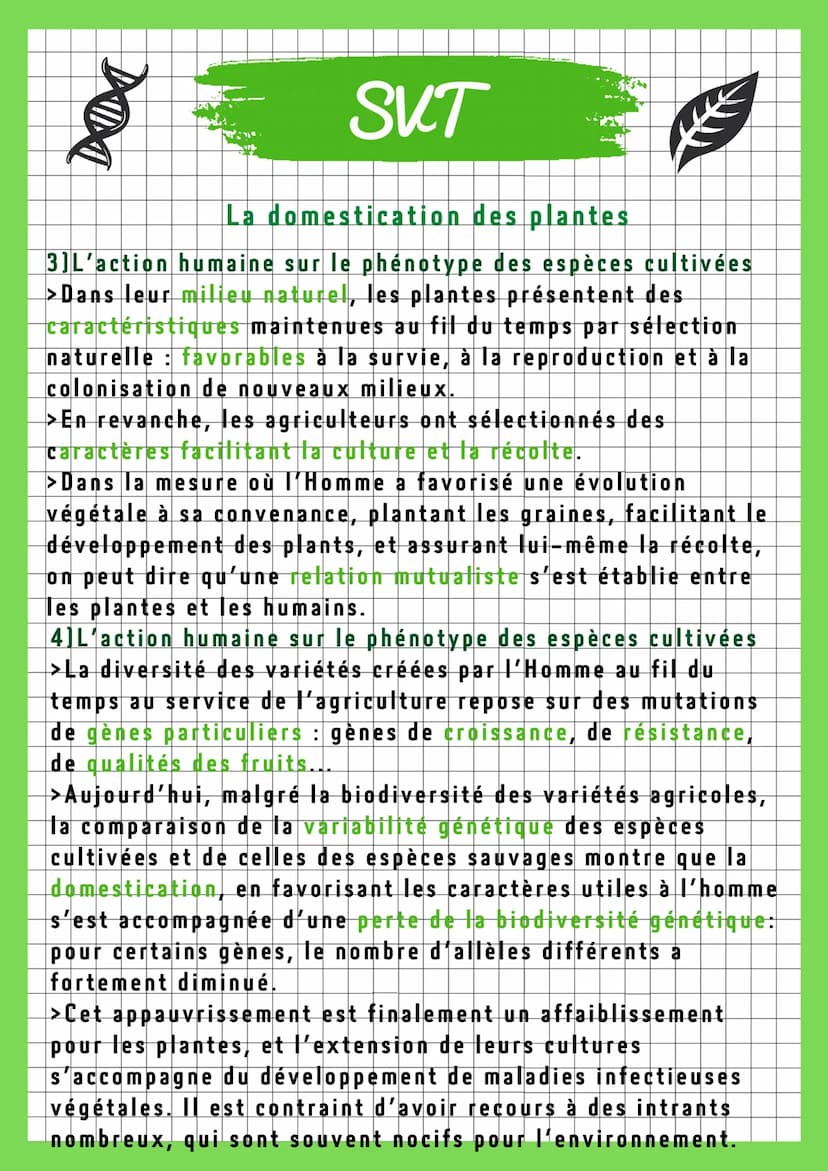 DOI
SVT
La domestication des plantes
1)La mise en place progressive des pratiques culturales
>L'homme a cherché l'amélioration des espèces c