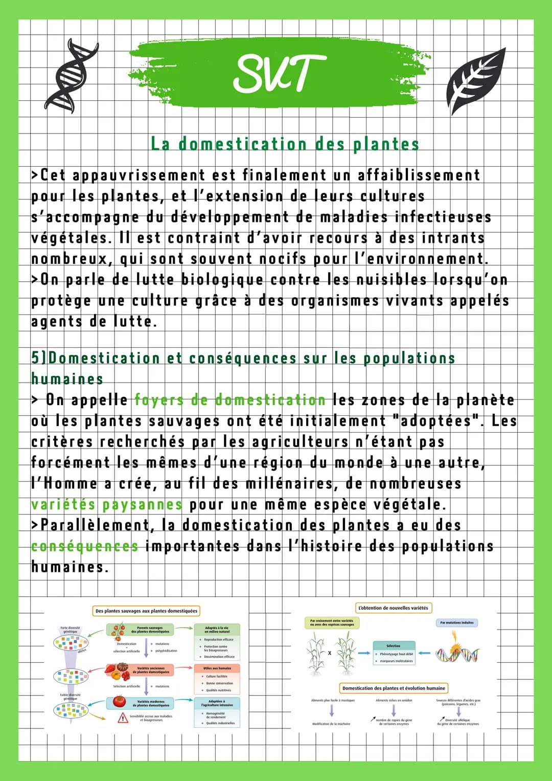 DOI
SVT
La domestication des plantes
1)La mise en place progressive des pratiques culturales
>L'homme a cherché l'amélioration des espèces c