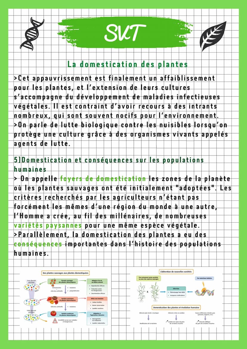 DOI
SVT
La domestication des plantes
1)La mise en place progressive des pratiques culturales
>L'homme a cherché l'amélioration des espèces c