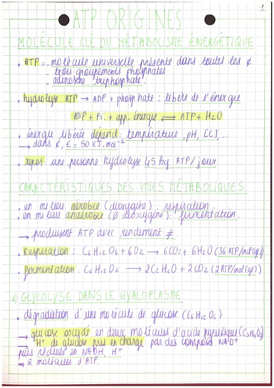 # ATP ORIGINES

MOLECULE CLÉ DU MÉTABOLISME ÉNERGÉTIQUE

• ATP = molécule universelle présente dans toutes les &
trees groupements phosphate