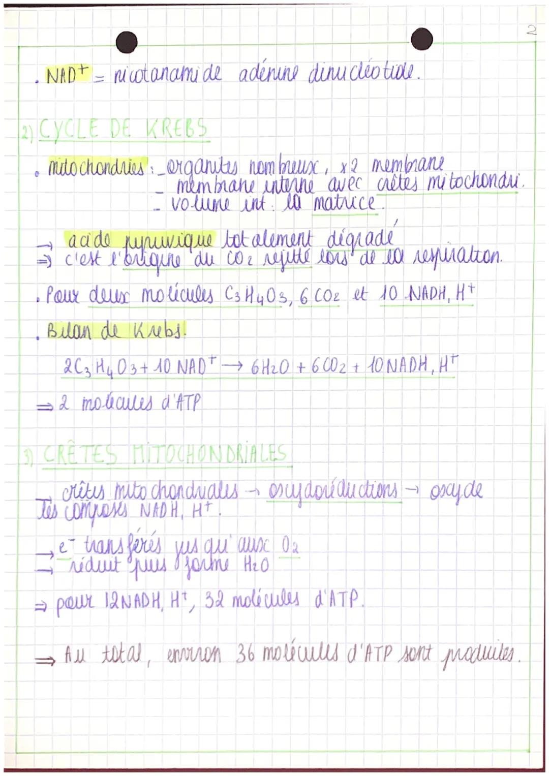 # ATP ORIGINES

MOLECULE CLÉ DU MÉTABOLISME ÉNERGÉTIQUE

• ATP = molécule universelle présente dans toutes les &
trees groupements phosphate