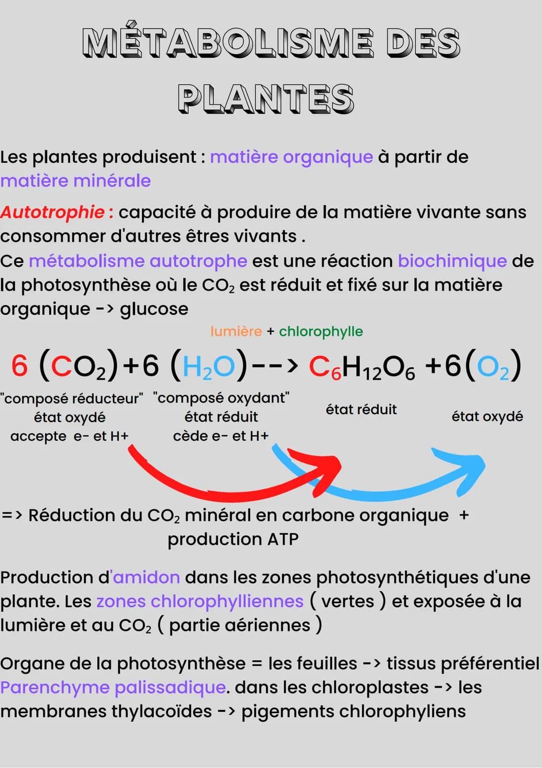 MÉTABOLISME DES
PLANTES
Les plantes produisent : matière organique à partir de
matière minérale
Autotrophie : capacité à produire de la mati