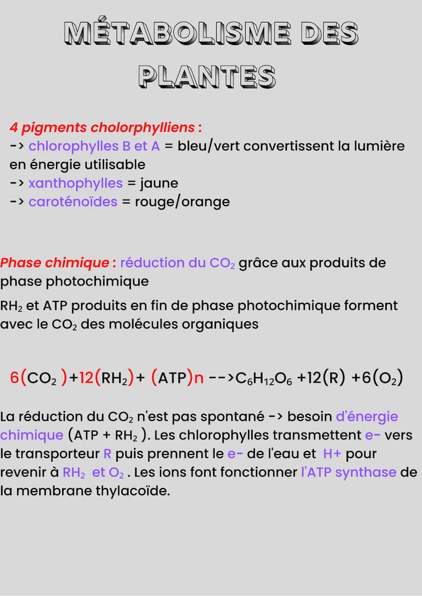 MÉTABOLISME DES
PLANTES
Les plantes produisent : matière organique à partir de
matière minérale
Autotrophie : capacité à produire de la mati