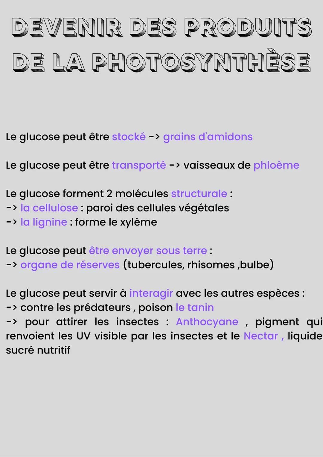 MÉTABOLISME DES
PLANTES
Les plantes produisent : matière organique à partir de
matière minérale
Autotrophie : capacité à produire de la mati