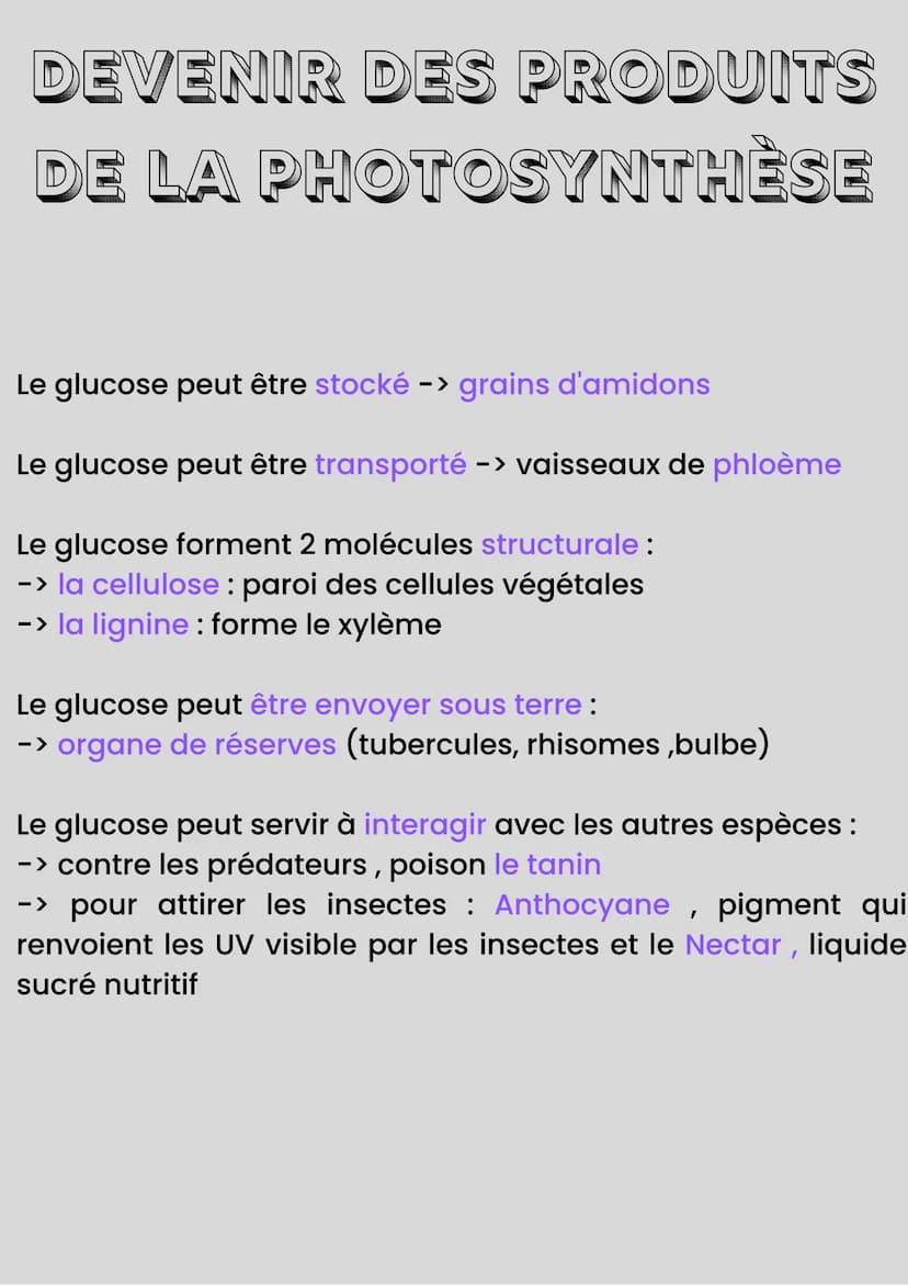 MÉTABOLISME DES
PLANTES
Les plantes produisent : matière organique à partir de
matière minérale
Autotrophie : capacité à produire de la mati