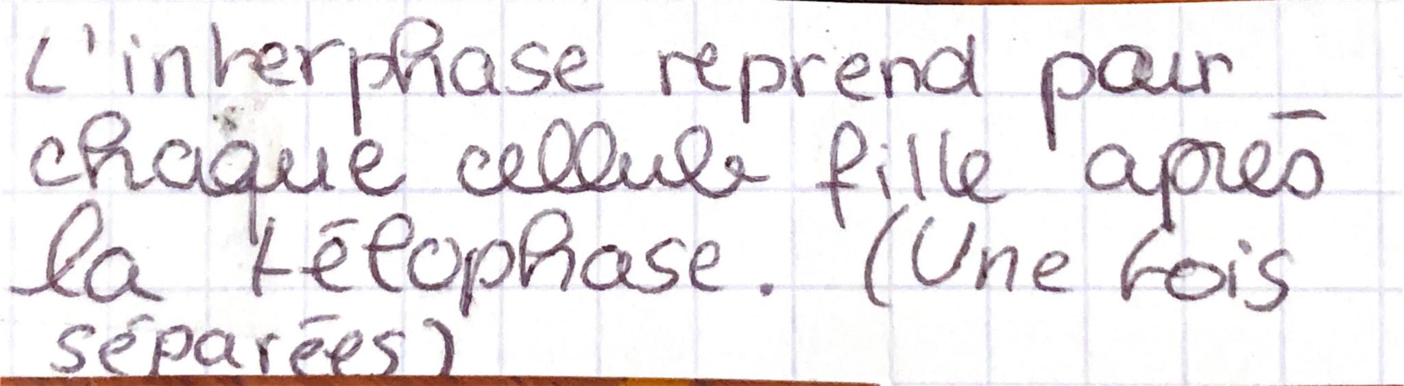 SUT Ca mitose

Milose division d'une cellule mère
en 2 cellules filles.

Les cellules filles sont génétiquement
identiques à la celluce

Lo 