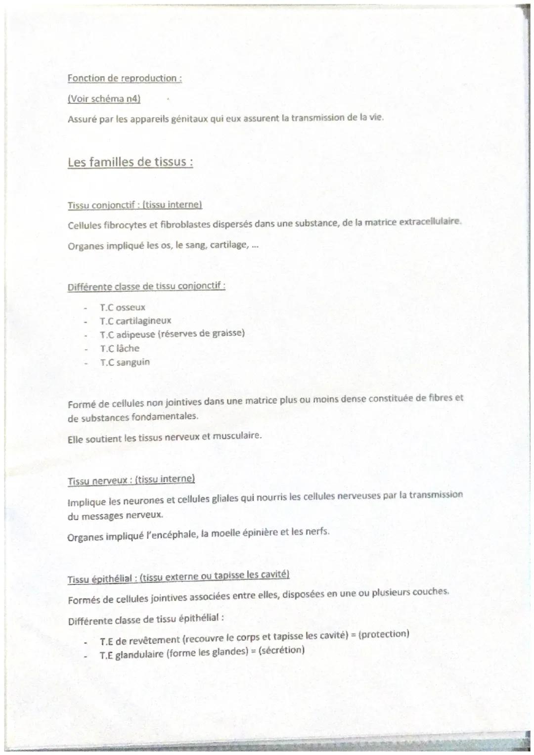 Fonction de reproduction :
(Voir schéma n4)
Assuré par les appareils génitaux qui eux assurent la transmission de la vie.
Les familles de ti