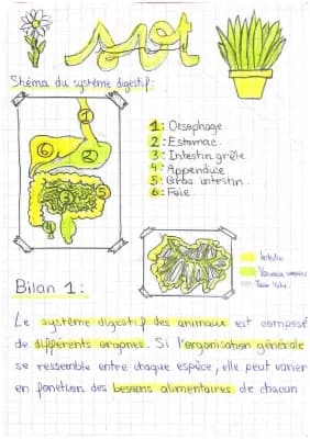 Know Le système digestif  thumbnail