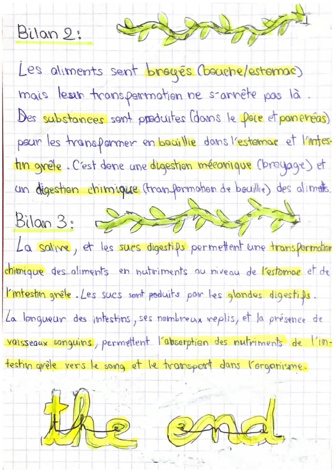 1 st
Shéma du système digestif:
1: Oesophage.
2:Estomac.
3: Intestin grele.
4: Appendice
5: Gros intestin.
6: Foie.
Intestin
Vaisseaux segui