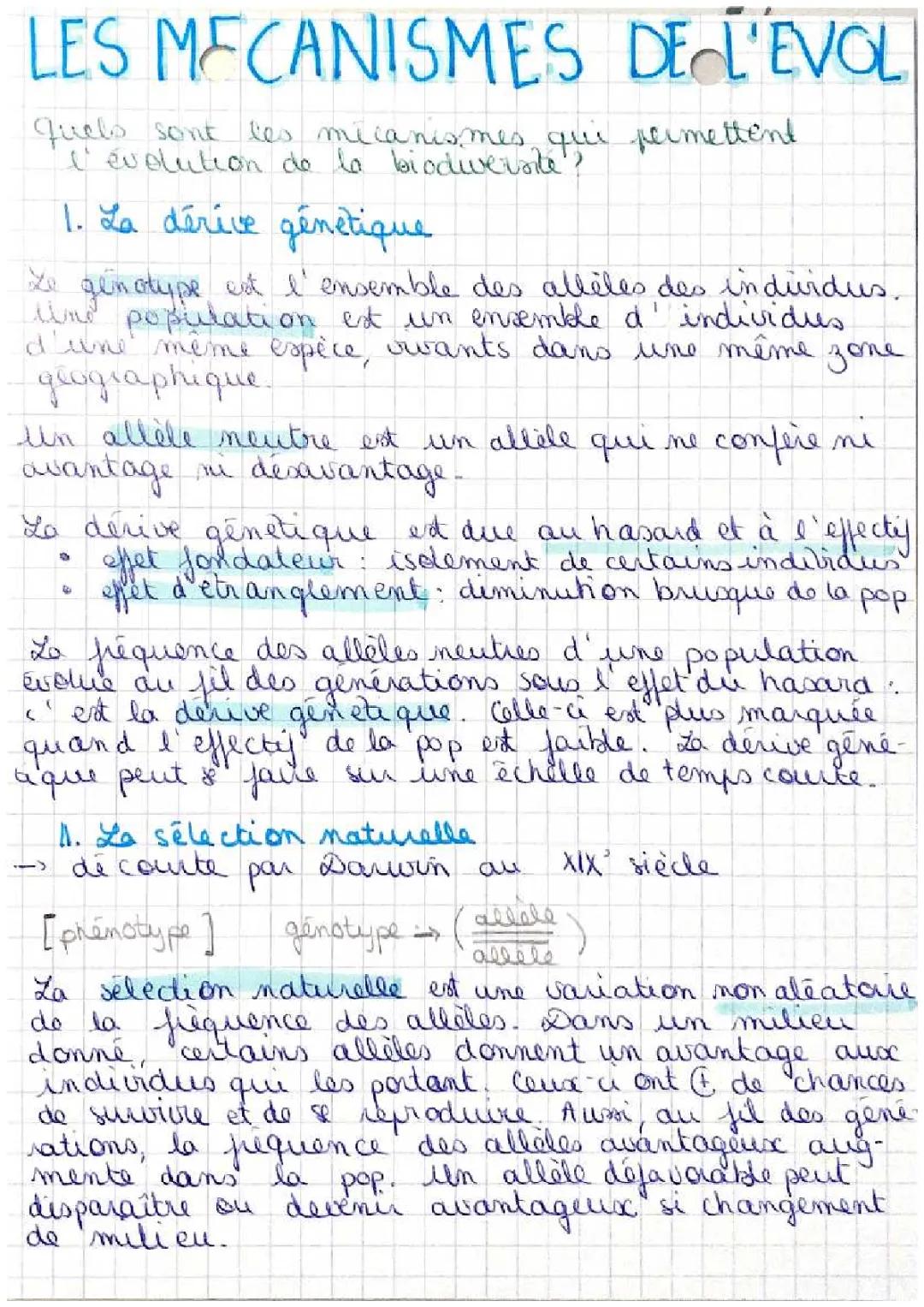 SVT Seconde - Les Mécanismes de l'Évolution : Exercice, Contrôle et PDF