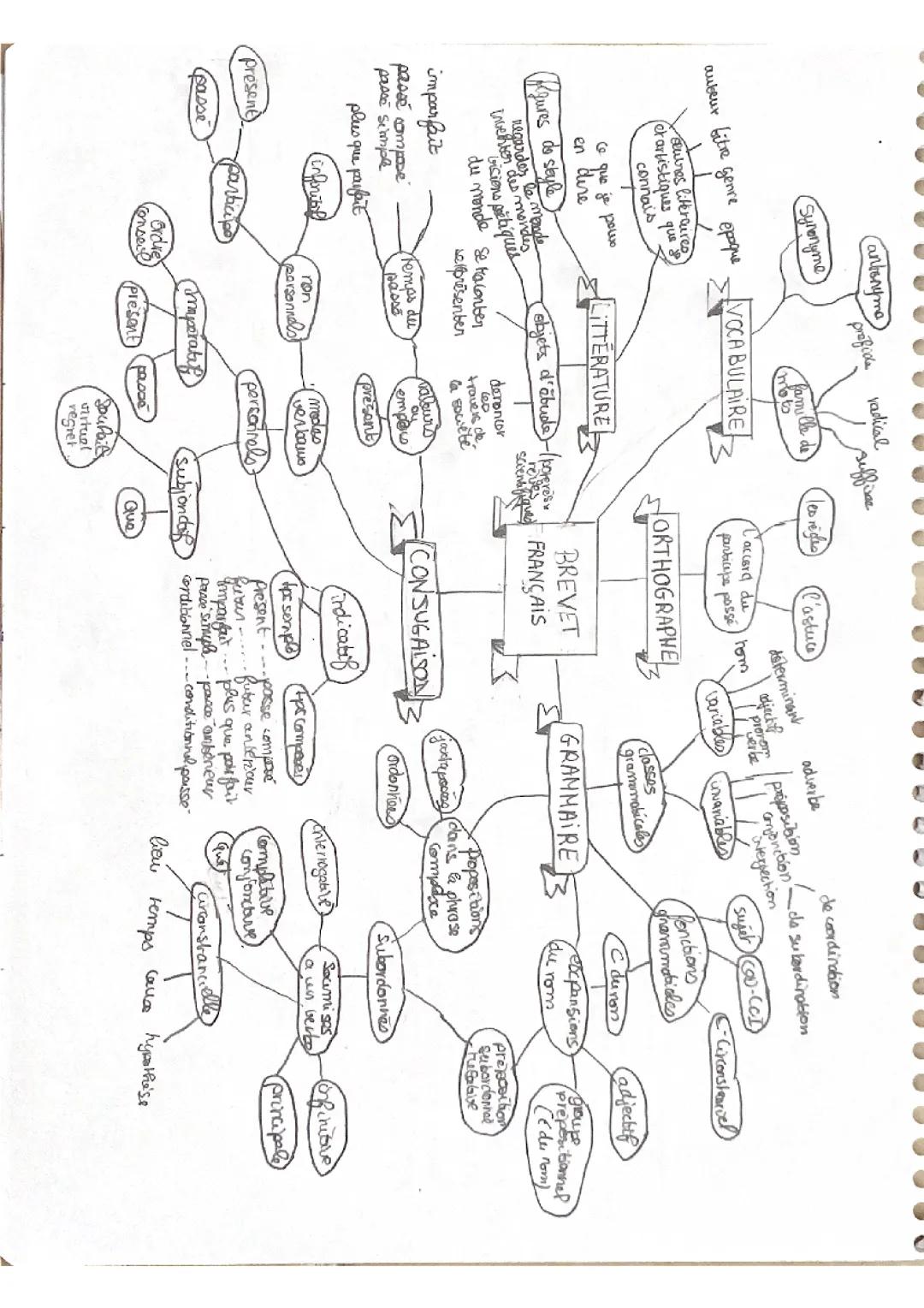 carte mentale brevet français 