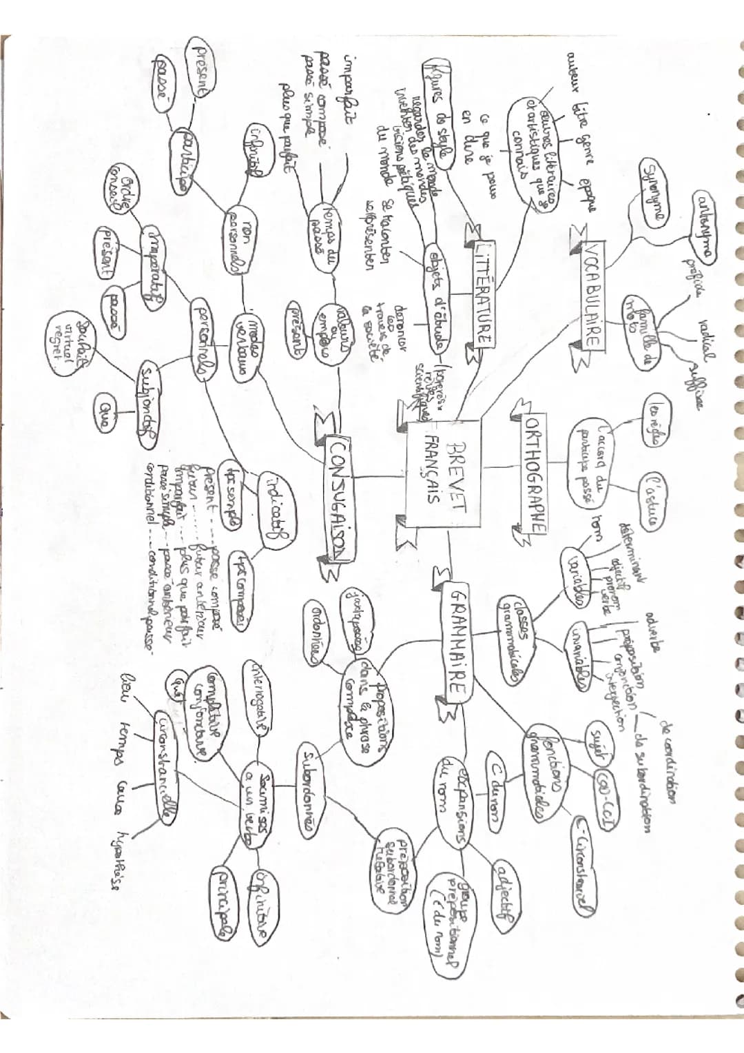 carte mentale brevet français 