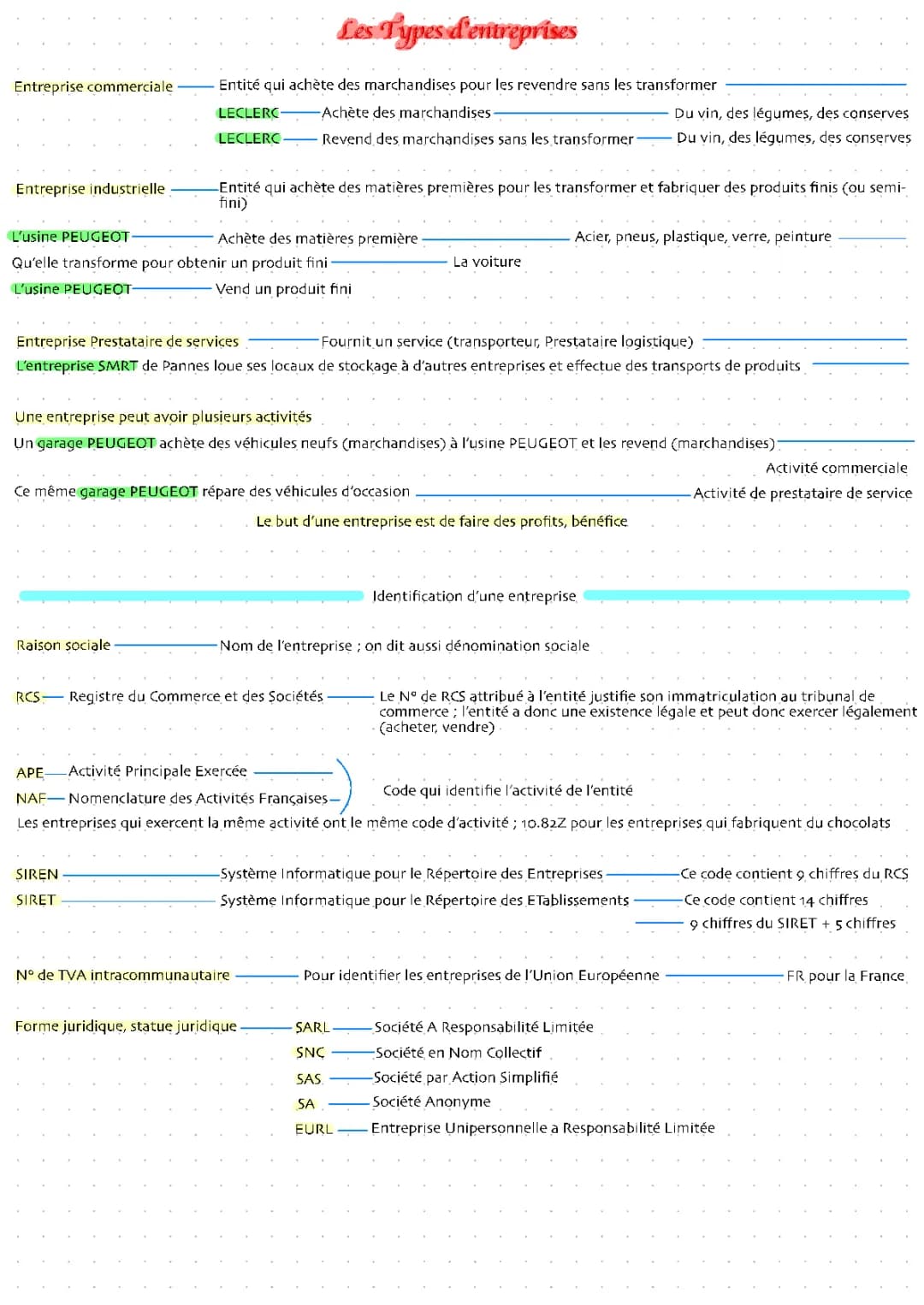 Les types d’entreprises 