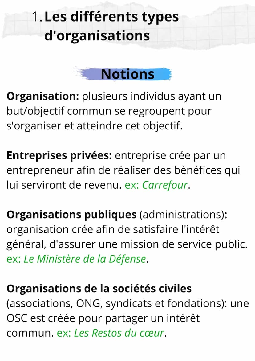 Sciences de Gestion et du
Numérique
Notions et Formules 1. Les différents types
d'organisations
Notions
Organisation: plusieurs individus ay