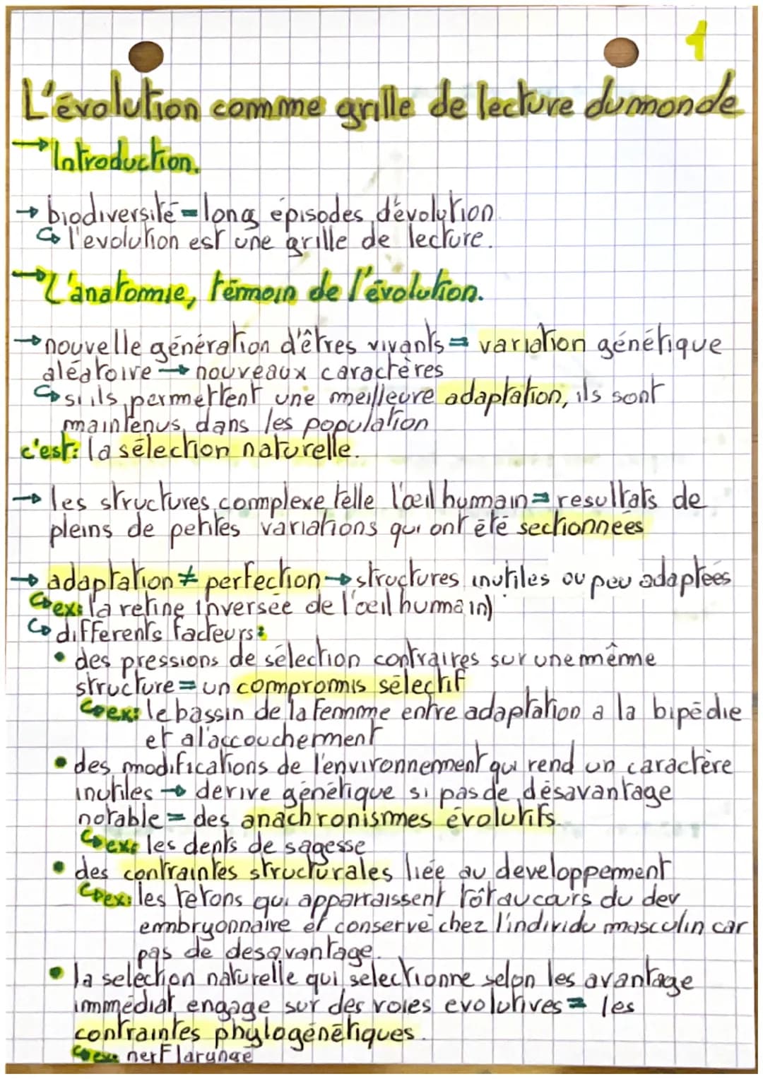 L'évolution comme grille de lecture dumonde
Introduction.
→ biodiversite-long épisodes dévolution
co l'evolution est une grille de lecture.
