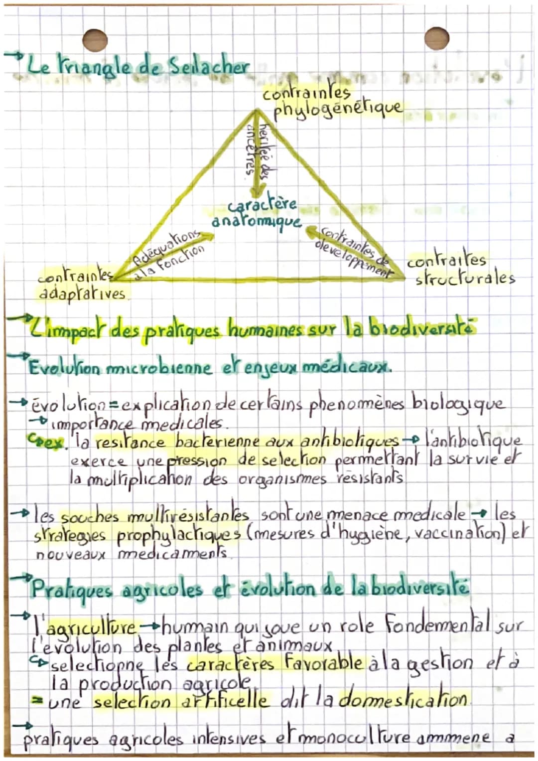 L'évolution comme grille de lecture dumonde
Introduction.
→ biodiversite-long épisodes dévolution
co l'evolution est une grille de lecture.
