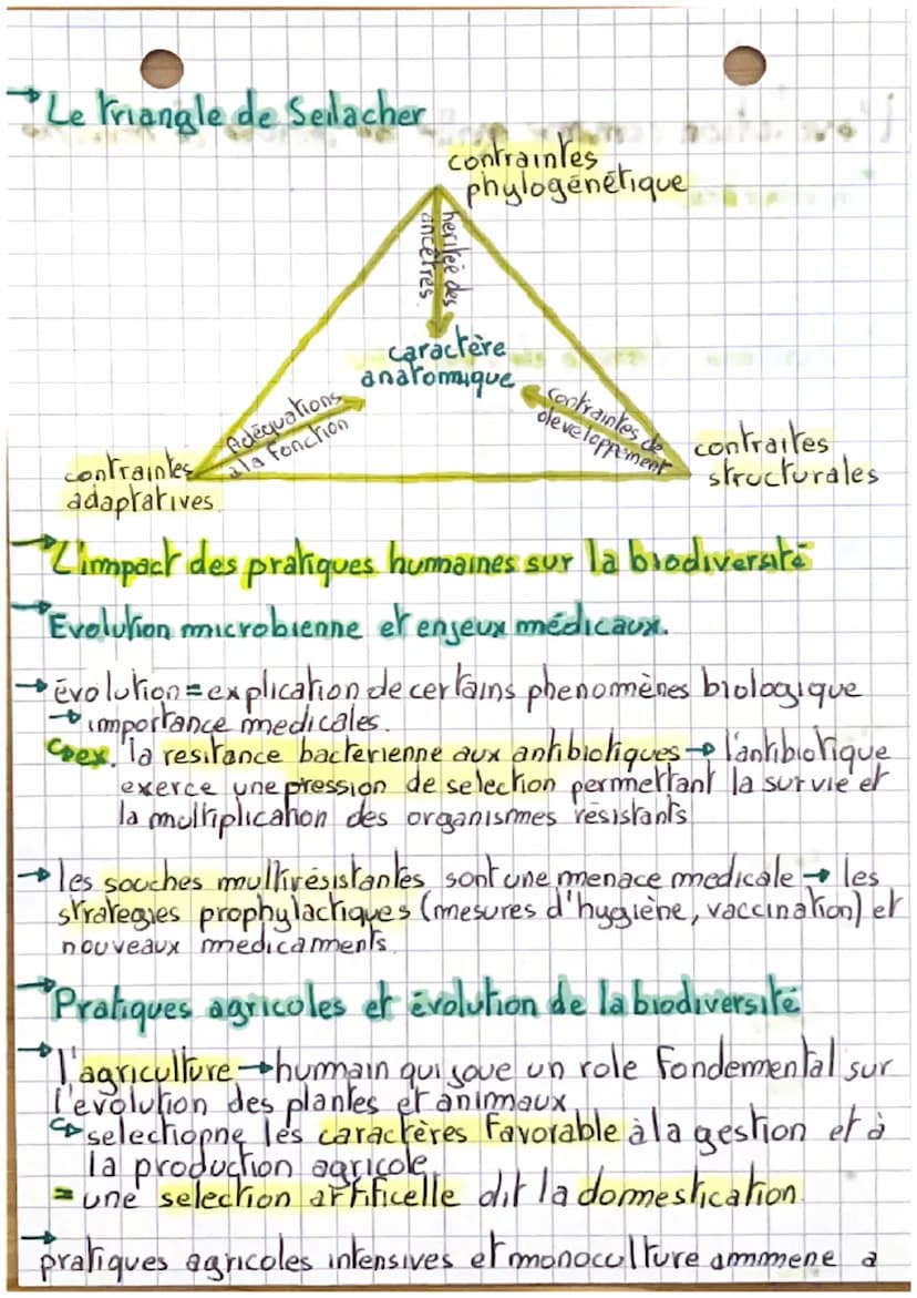 L'évolution comme grille de lecture dumonde
Introduction.
→ biodiversite-long épisodes dévolution
co l'evolution est une grille de lecture.
