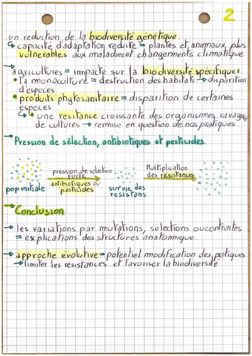 L'évolution comme grille de lecture dumonde
Introduction.
→ biodiversite-long épisodes dévolution
co l'evolution est une grille de lecture.

