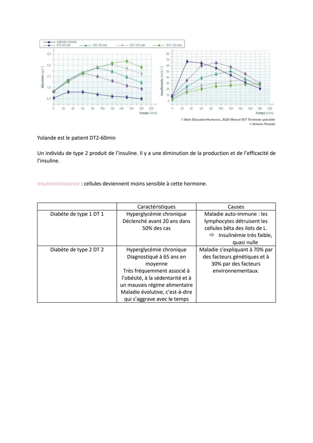 Chapitre 14
LE CONTRÔLE DES FLUX DE
GLUCOSE
I.
L'approvisionnement des cellules musculaires en glucose
a) Origine du glucose utilisé par les