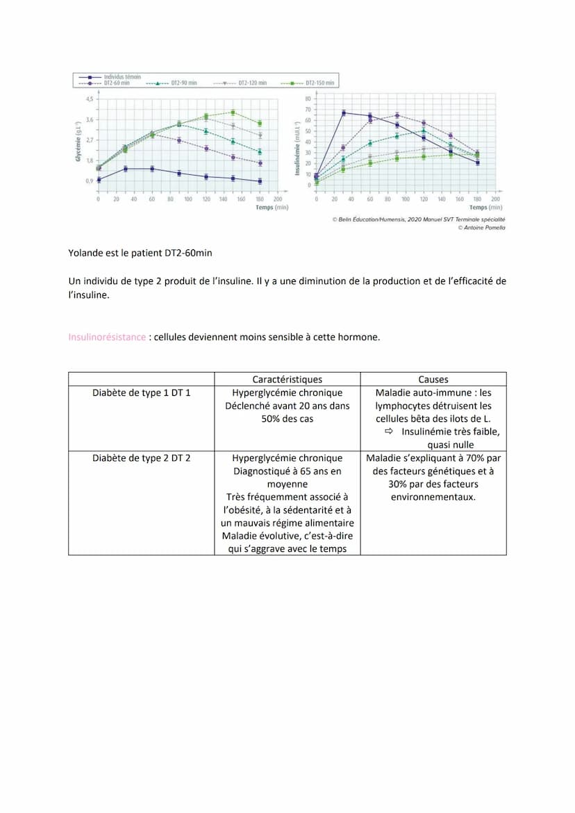 Chapitre 14
LE CONTRÔLE DES FLUX DE
GLUCOSE
I.
L'approvisionnement des cellules musculaires en glucose
a) Origine du glucose utilisé par les