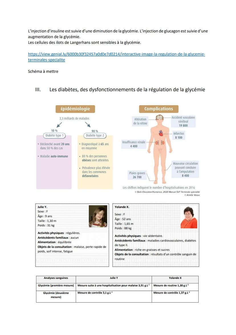Chapitre 14
LE CONTRÔLE DES FLUX DE
GLUCOSE
I.
L'approvisionnement des cellules musculaires en glucose
a) Origine du glucose utilisé par les