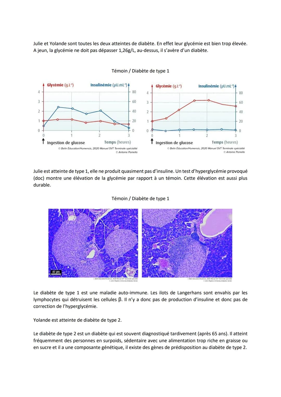 Chapitre 14
LE CONTRÔLE DES FLUX DE
GLUCOSE
I.
L'approvisionnement des cellules musculaires en glucose
a) Origine du glucose utilisé par les