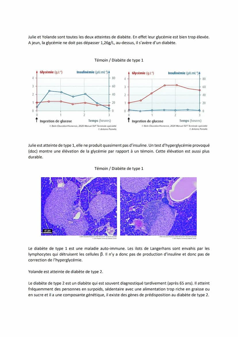 Chapitre 14
LE CONTRÔLE DES FLUX DE
GLUCOSE
I.
L'approvisionnement des cellules musculaires en glucose
a) Origine du glucose utilisé par les