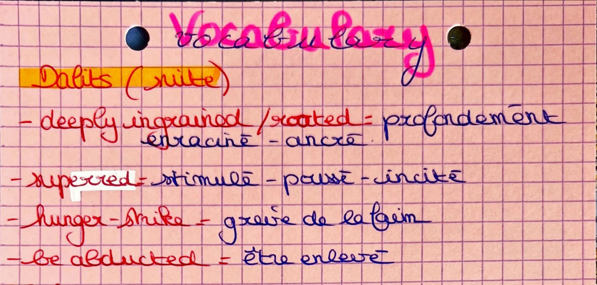 - oddly installed = installe aléatoirement
Dalits
-apartheid
-eager- impatiente
unbearable insoutenable -inssuportable
- plight = situation 