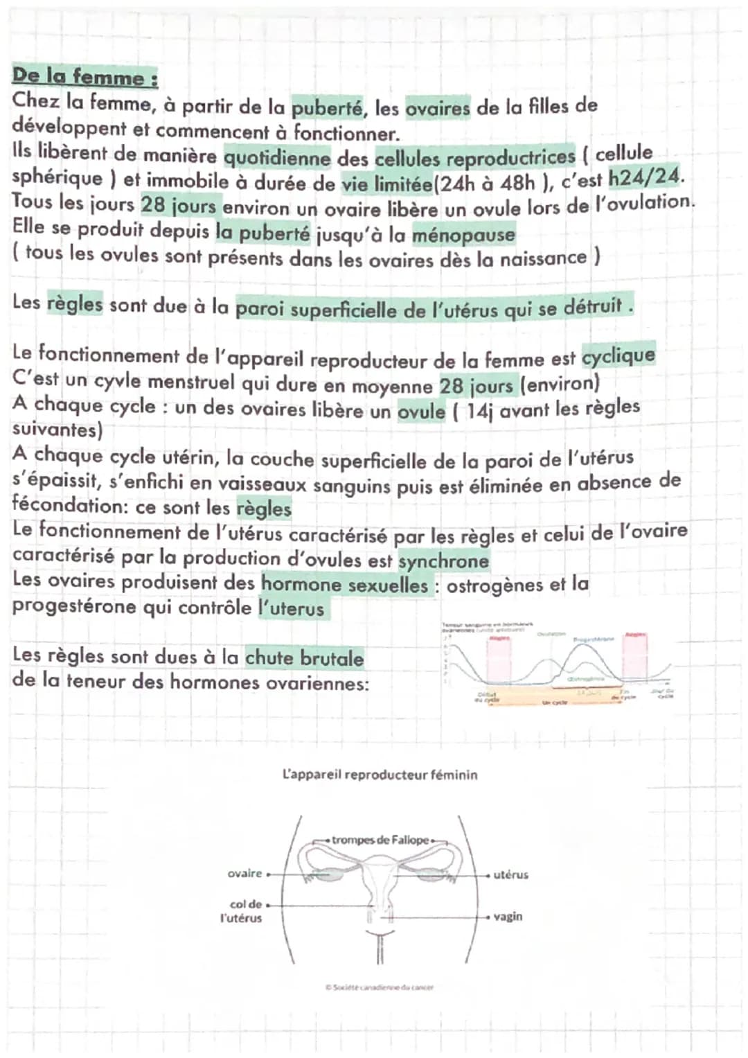 SVT
LE FONCTIONNEMENT DE L'APPAREIL REPRODUCTEUR
De l'homme :
Chez l'homme, à partir de la puberté et tout au long de sa vie, les testicules