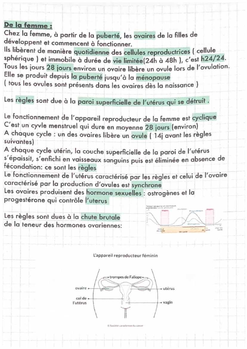 SVT
LE FONCTIONNEMENT DE L'APPAREIL REPRODUCTEUR
De l'homme :
Chez l'homme, à partir de la puberté et tout au long de sa vie, les testicules