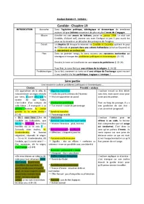Know Analyse linéaire (BAC ORAL) - VOLTAIRE, Candide (Chapitre 19) thumbnail