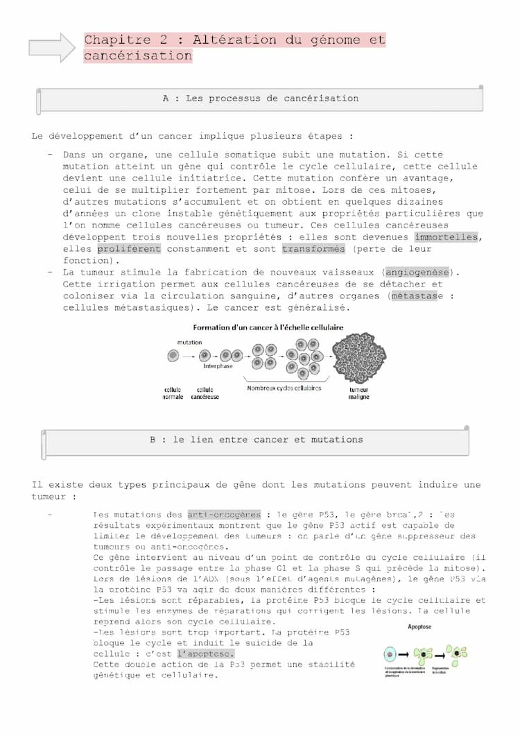 Know 2-altération du génome et cancérisation  thumbnail
