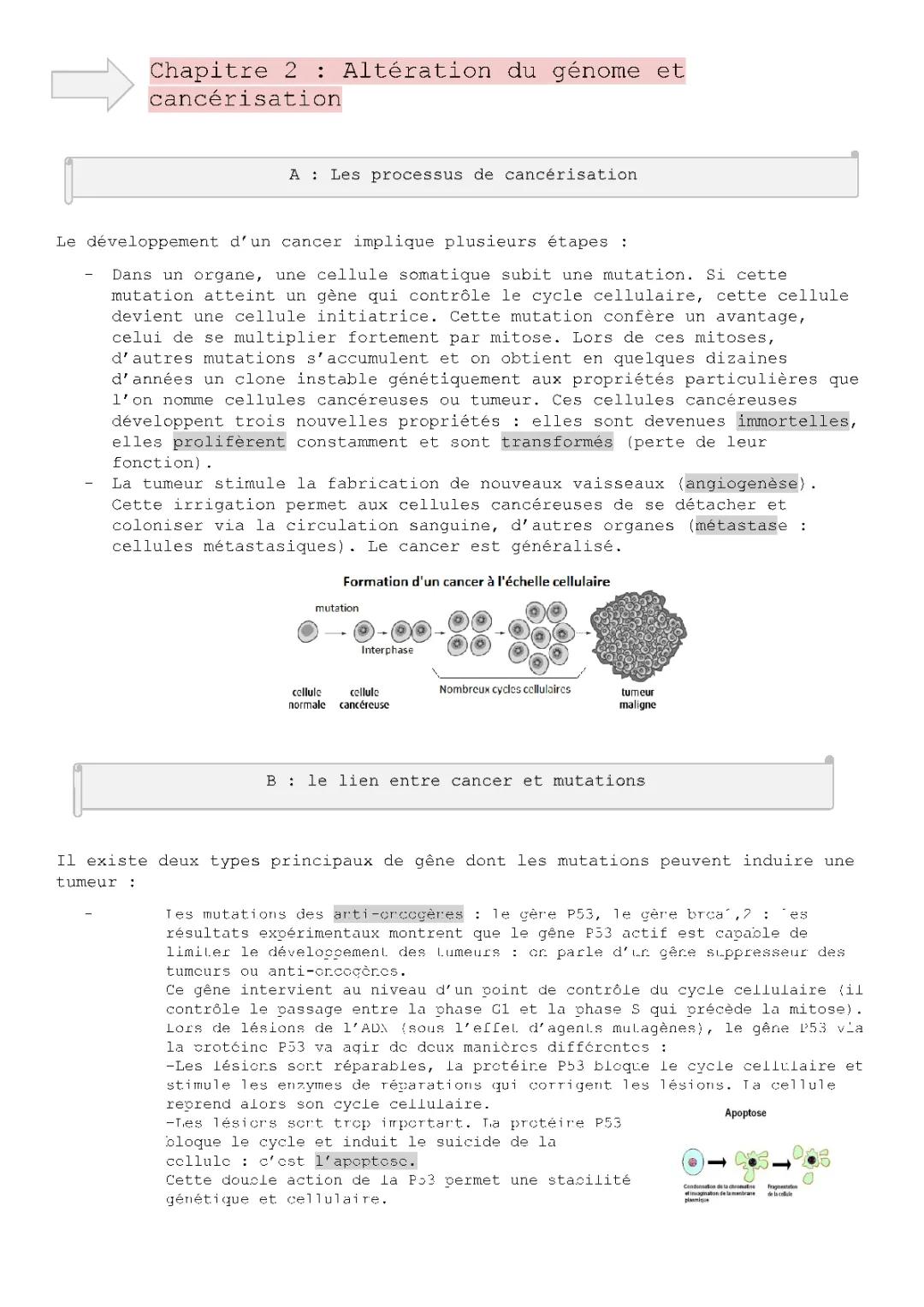 Altération du Génome et Cancérisation : Cours PDF, Mutations et Gène p53 pour SVT