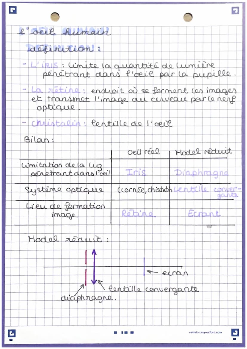 P4: reception luz.
definition:
Lentille: milieu transparent limité par deux
senface dont une al moins n'est pas plate.
Lentille convergente: