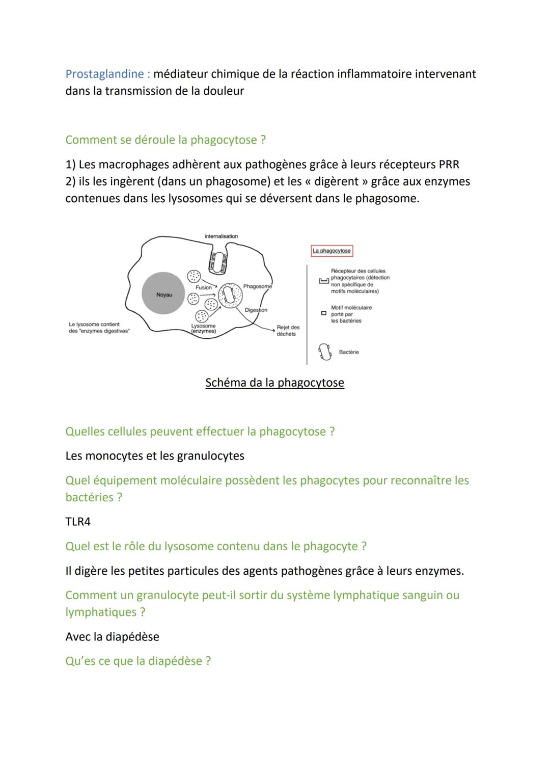 Immunologie Partie 2:
Définitions :
Cellules dendritiques : Les cellules dendritiques sont des cellules sentinelles du
système immunitaire i