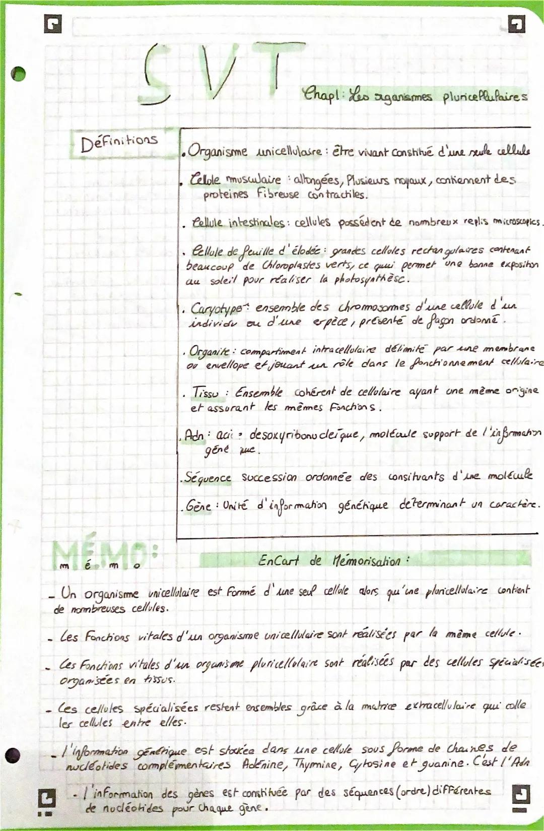 les organismes pluricellulaires 