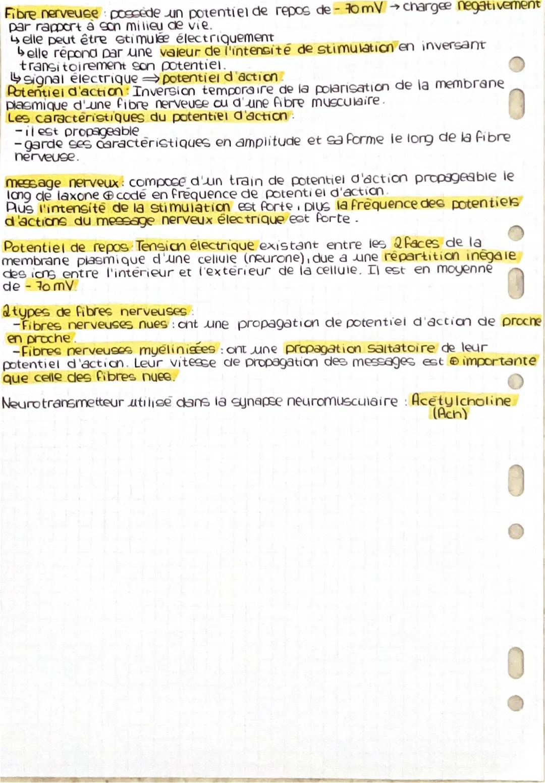 Les réflexes myotatiques, un exemple de communication nerveuse.