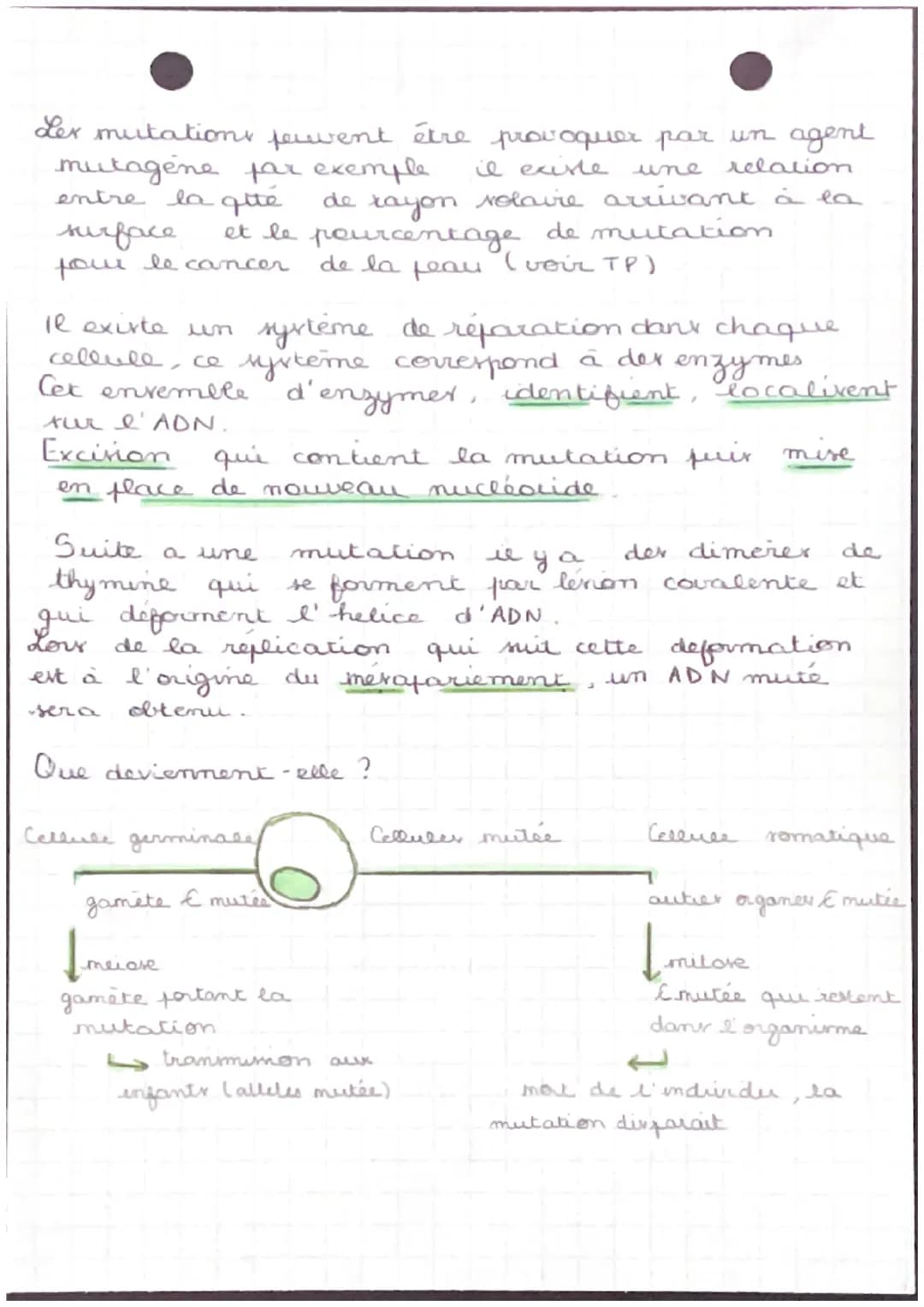 HEATIONS
Genome = Ensemble der gener d'un indurdu
* Genotype - Ensemble der alliler pour les different gene
d'un indurdu
+ Heterozygote = 2 