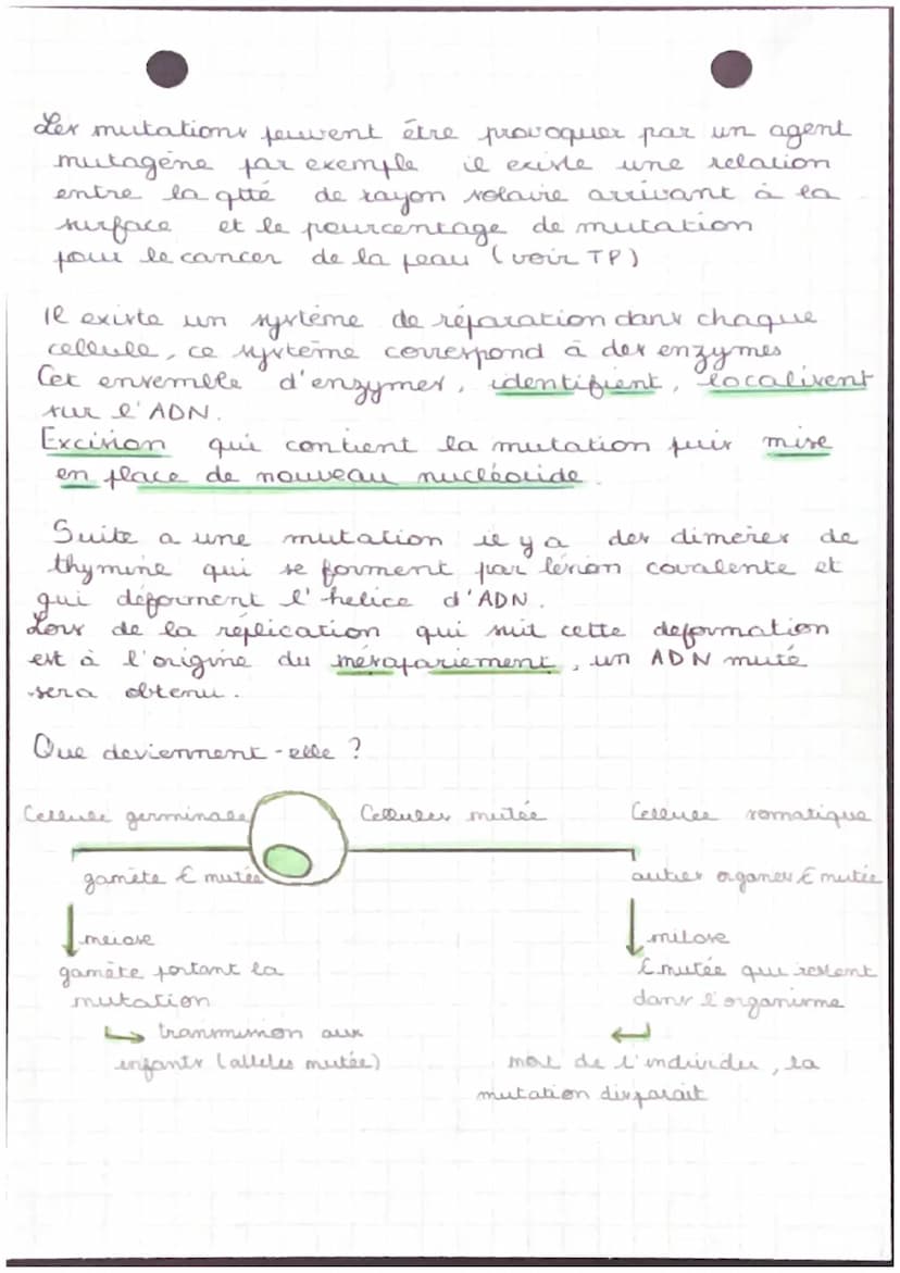 HEATIONS
Genome = Ensemble der gener d'un indurdu
* Genotype - Ensemble der alliler pour les different gene
d'un indurdu
+ Heterozygote = 2 